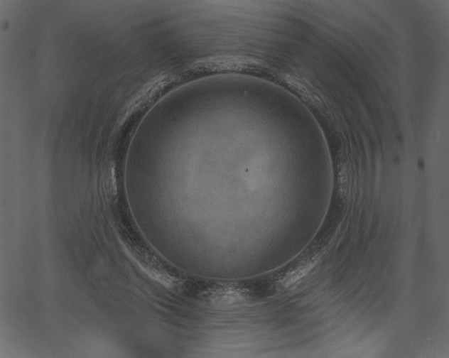 X0000067390254200603311306