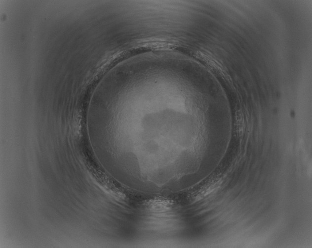 X0000067390255200603311306