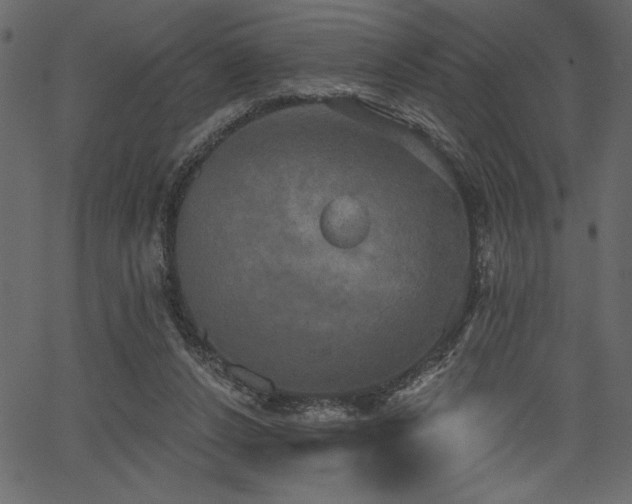 X0000067390256200603311306