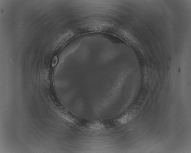 X0000067390258200603311306