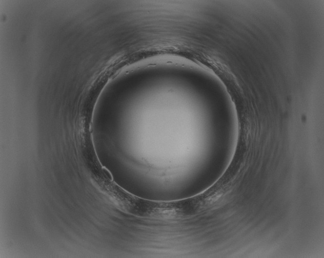 X0000067390260200603311306