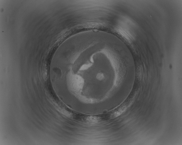 X0000067390261200603311306