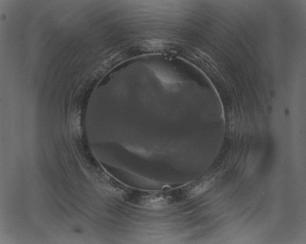 X0000067390267200603311306