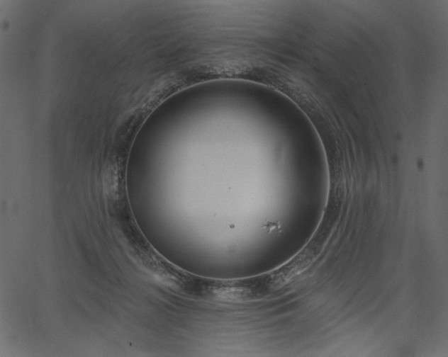 X0000067390268200603311306