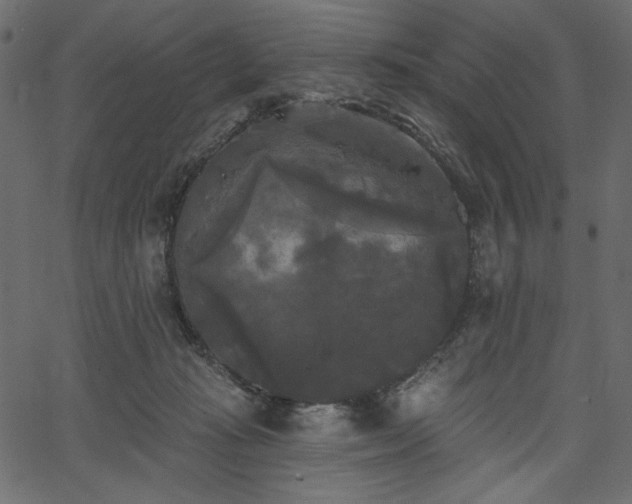 X0000067390269200603311306