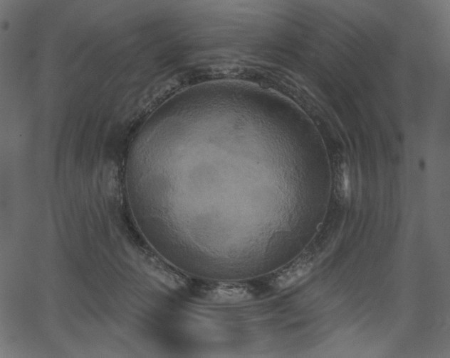 X0000067390270200603311306