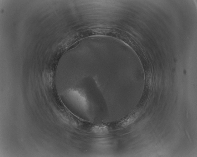 X0000067390271200603311306