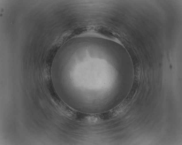 X0000067390272200603311306