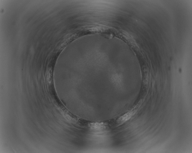 X0000067390273200603311306