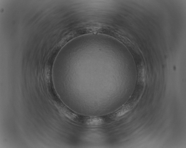 X0000067390274200603311306