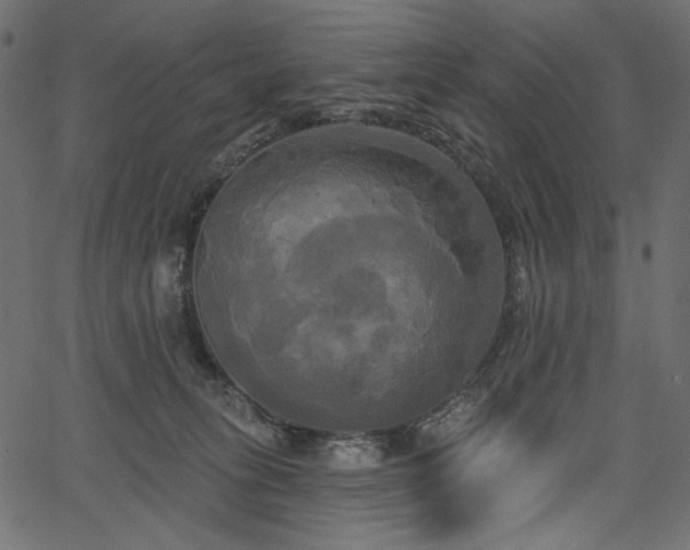 X0000067390275200603311306