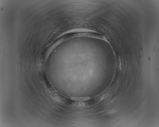 X0000067390276200603311306