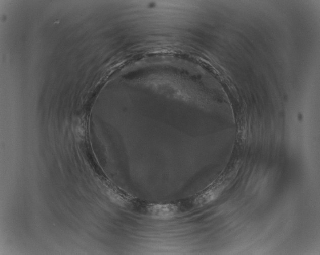 X0000067390277200603311306