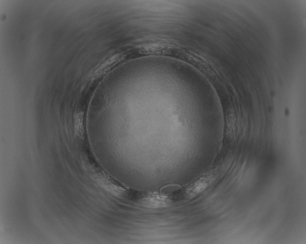 X0000067390278200603311306