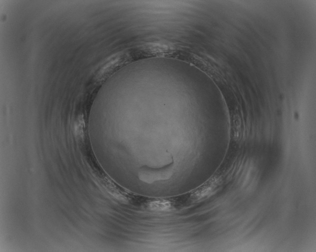 X0000067390279200603311306