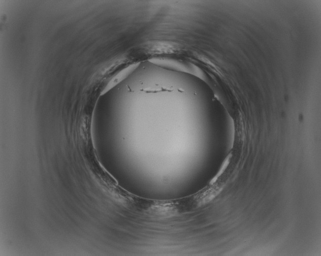 X0000067390280200603311306