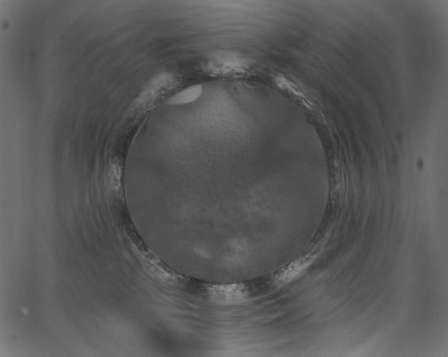 X0000067390281200603311306