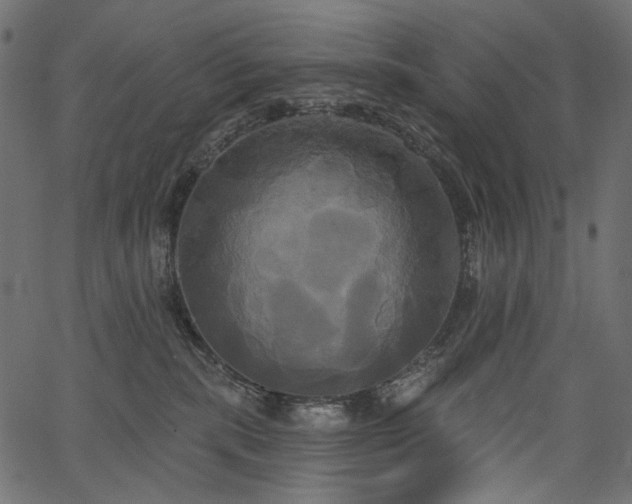 X0000067390283200603311306