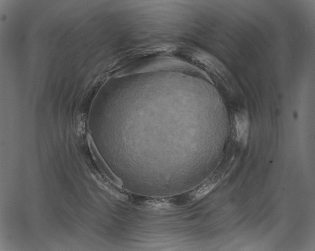 X0000067390284200603311307