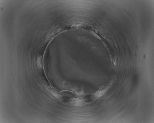 X0000067390286200603311307