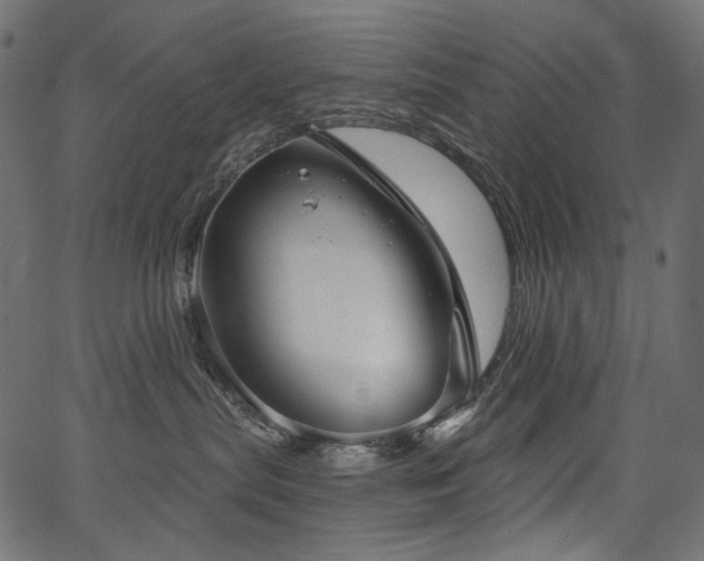 X0000067390287200603311307