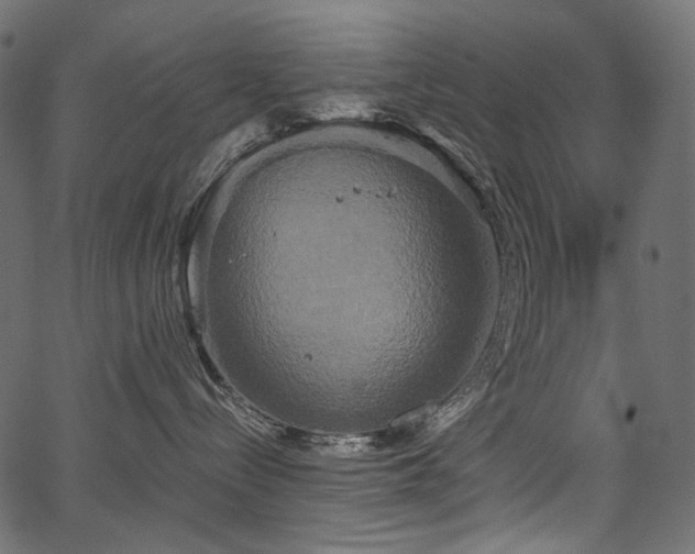 X0000067390288200603311307