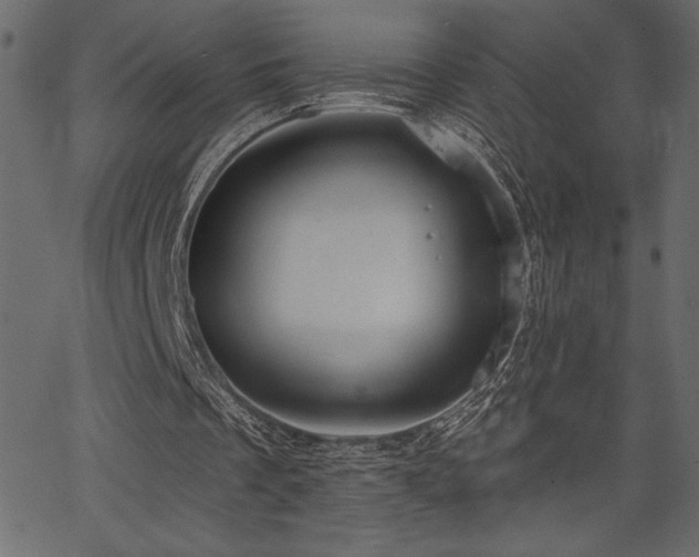 X0000067390289200603311306