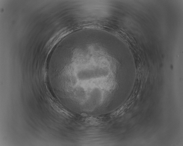 X0000067390290200603311306