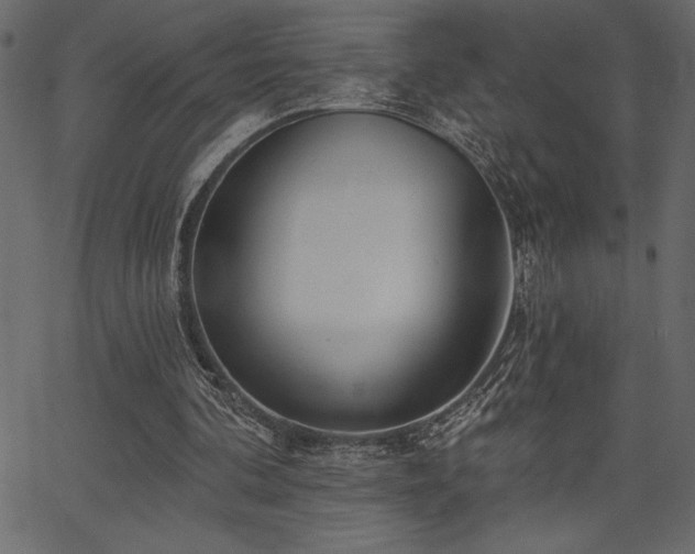 X0000067390292200603311306