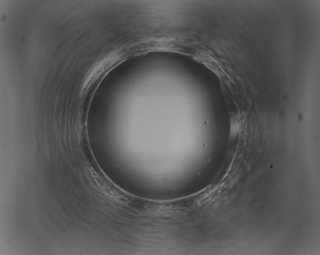 X0000067390293200603311306