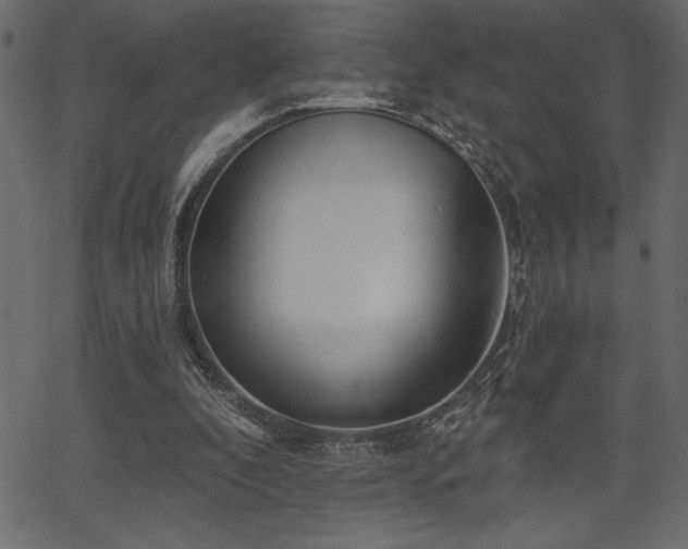 X0000067390296200603311306