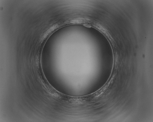 X0000067390297200603311306