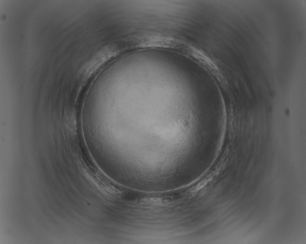 X0000067390298200603311306