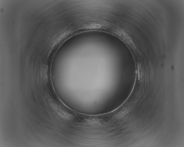 X0000067390300200603311306