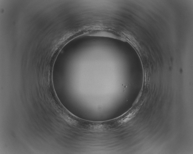 X0000067390301200603311306