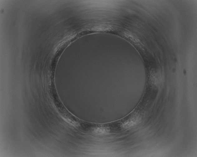 X0000067390303200603311306