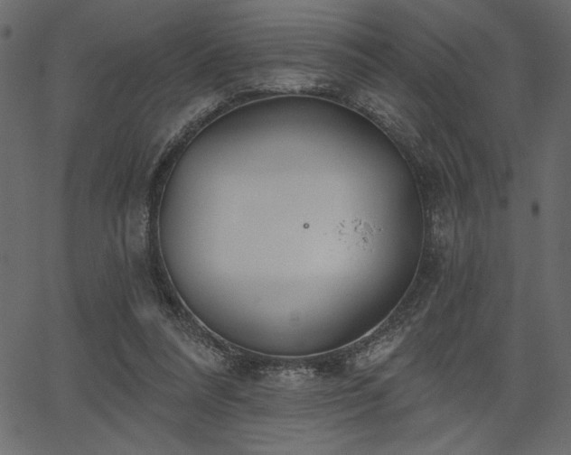 X0000067390304200603311306