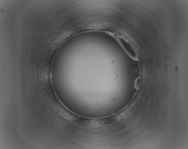 X0000067390305200603311306