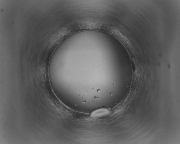 X0000067390306200603311306