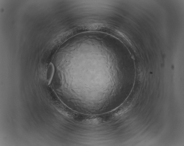 X0000067390307200603311306