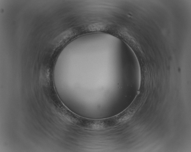 X0000067390308200603311305