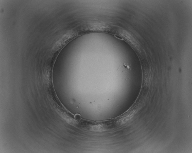 X0000067390309200603311305