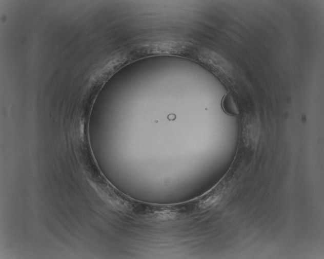 X0000067390310200603311305