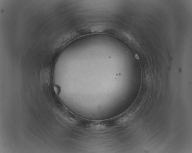 X0000067390311200603311305