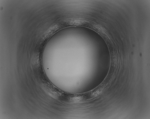 X0000067390312200603311305