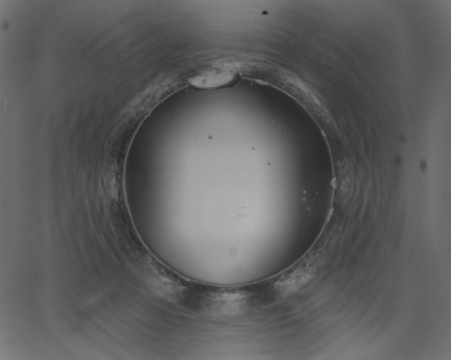 X0000067390313200603311305