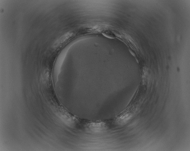 X0000067390314200603311305