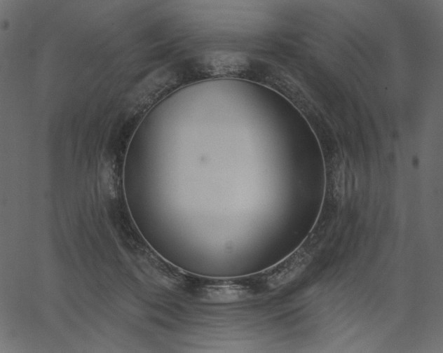 X0000067390316200603311305