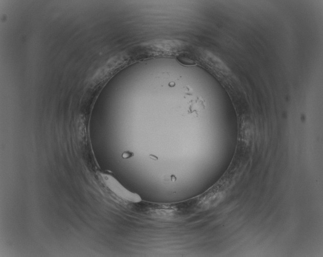 X0000067390318200603311305