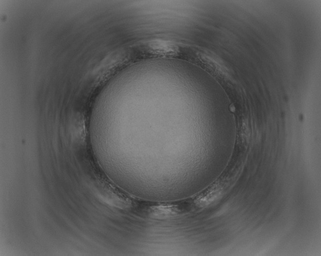 X0000067390320200603311305